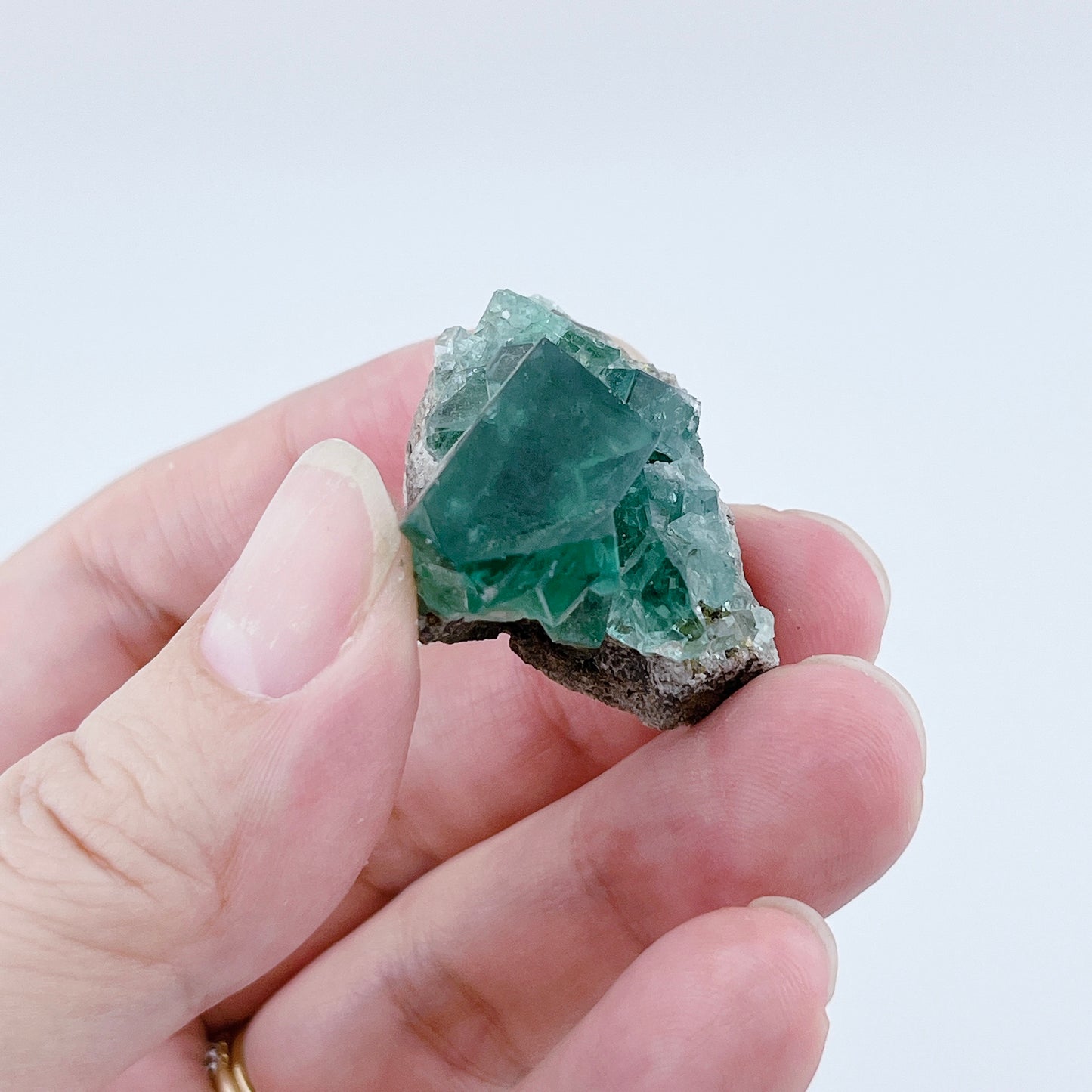 Diana Maria Fluorite (8500)【FO025A~G】