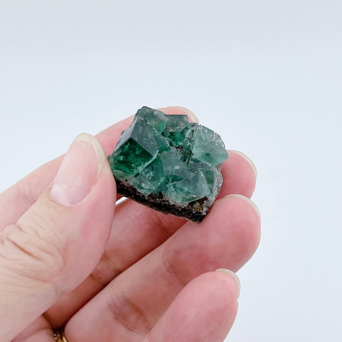 Diana Maria Fluorite (8500)【FO025A~G】
