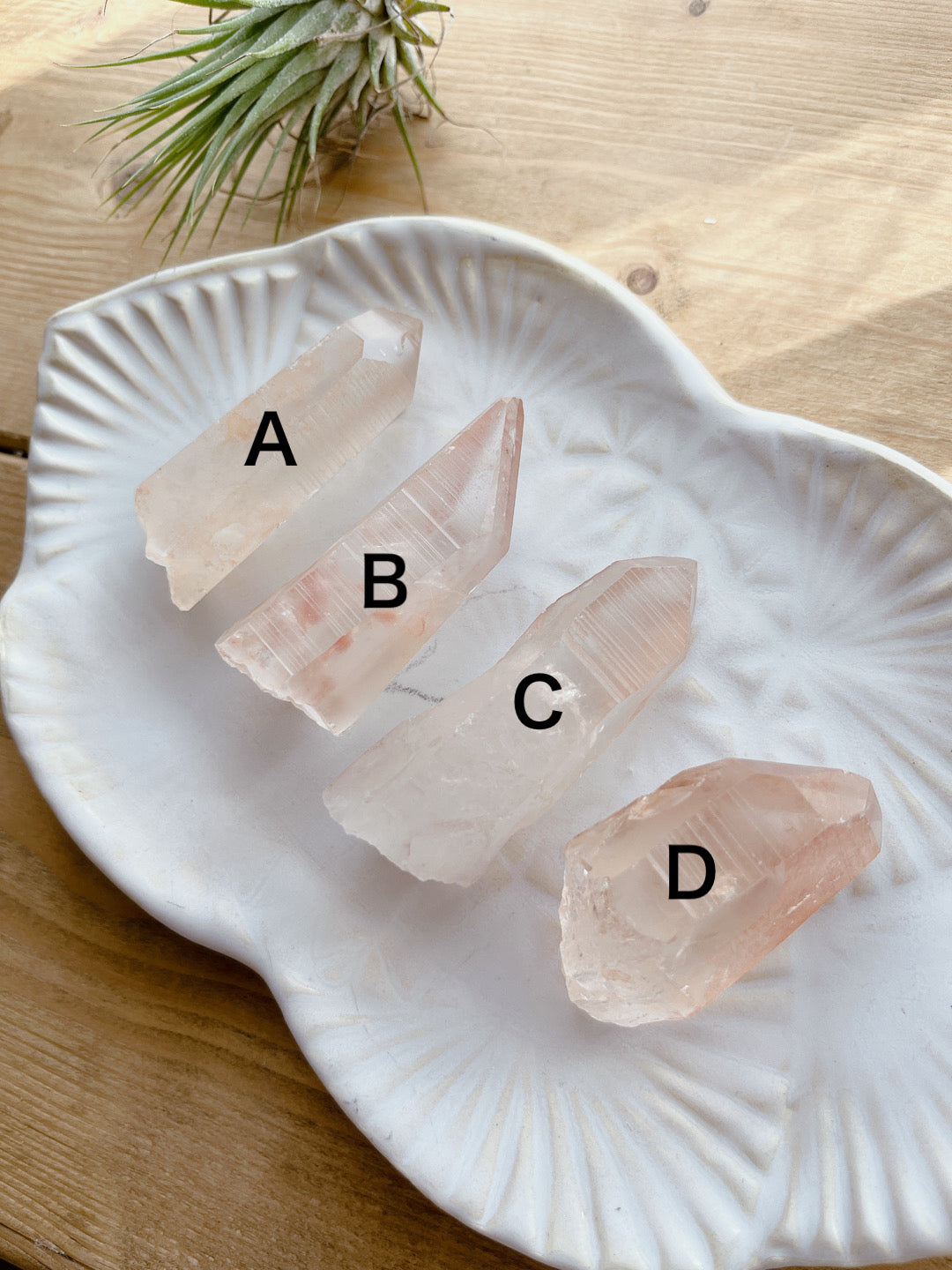 Pink lemurian seed crystal (11000)【LE004A~D】