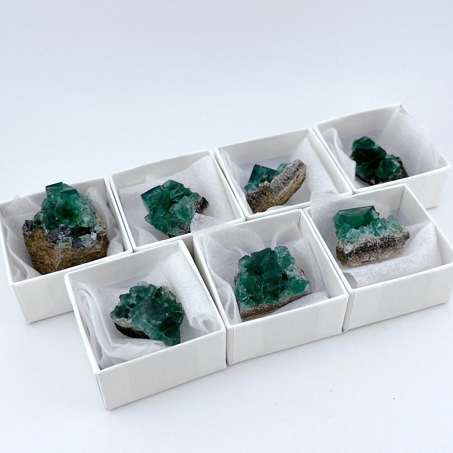 Diana Maria Fluorite (8500)【FO025A~G】