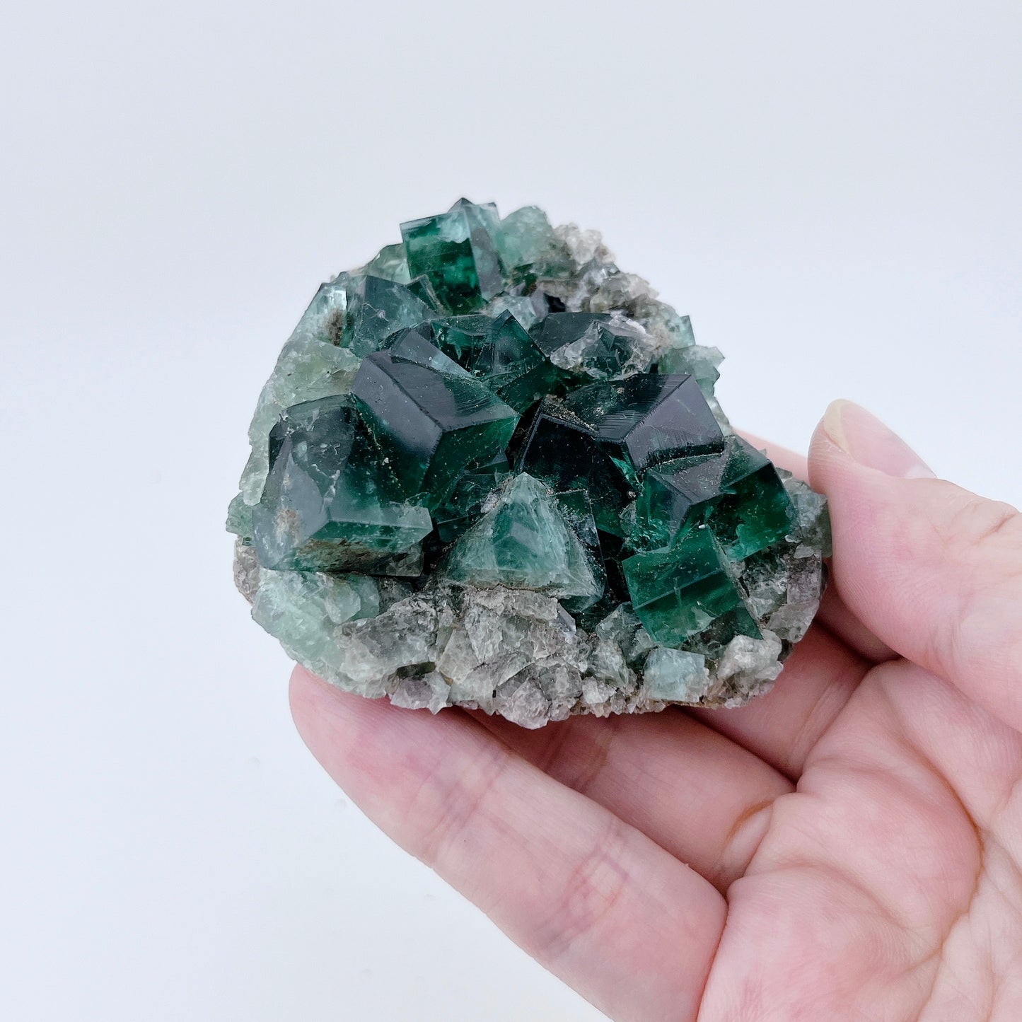 Diana Maria Fluorite (38000)【FO020A~D】
