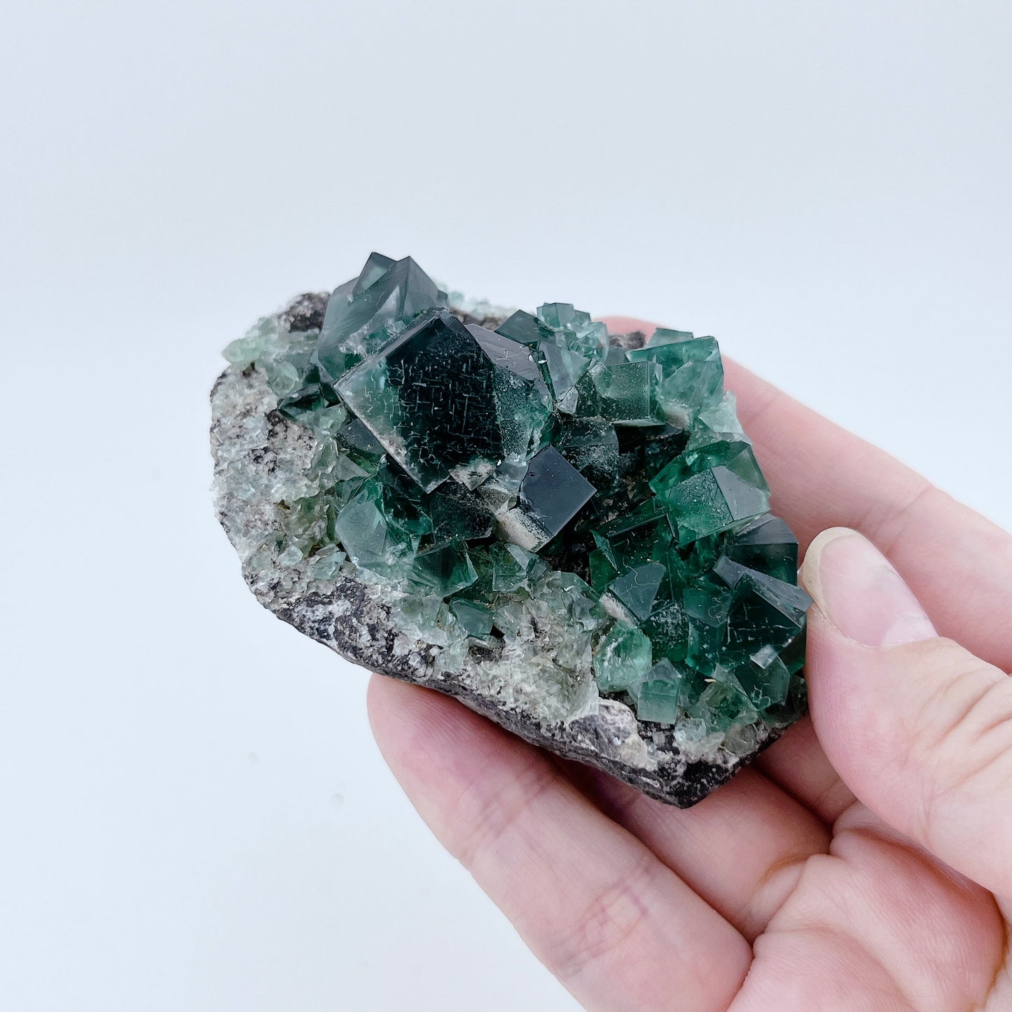 Diana Maria Fluorite (38000)【FO020A~D】