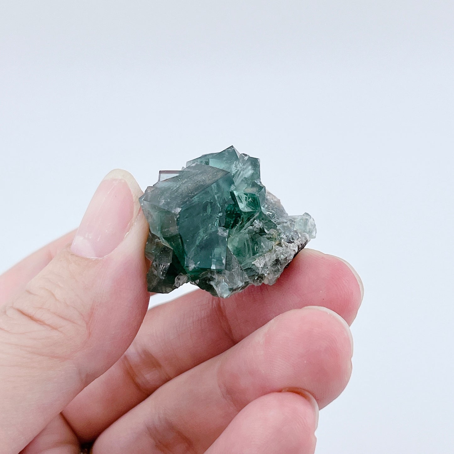 Diana Maria Fluorite (8500)【FO025A~G】
