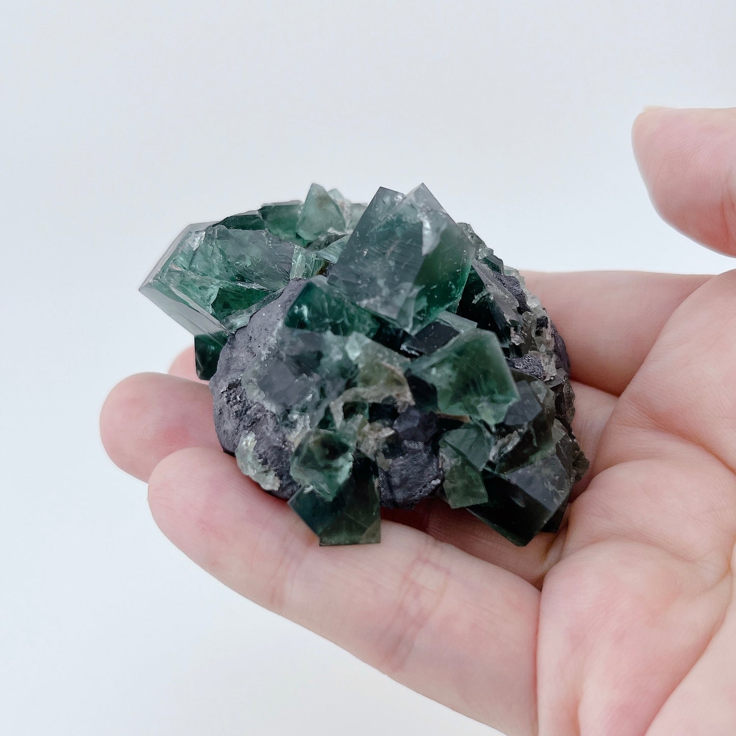Diana Maria Fluorite (32000)【FO021A~C】