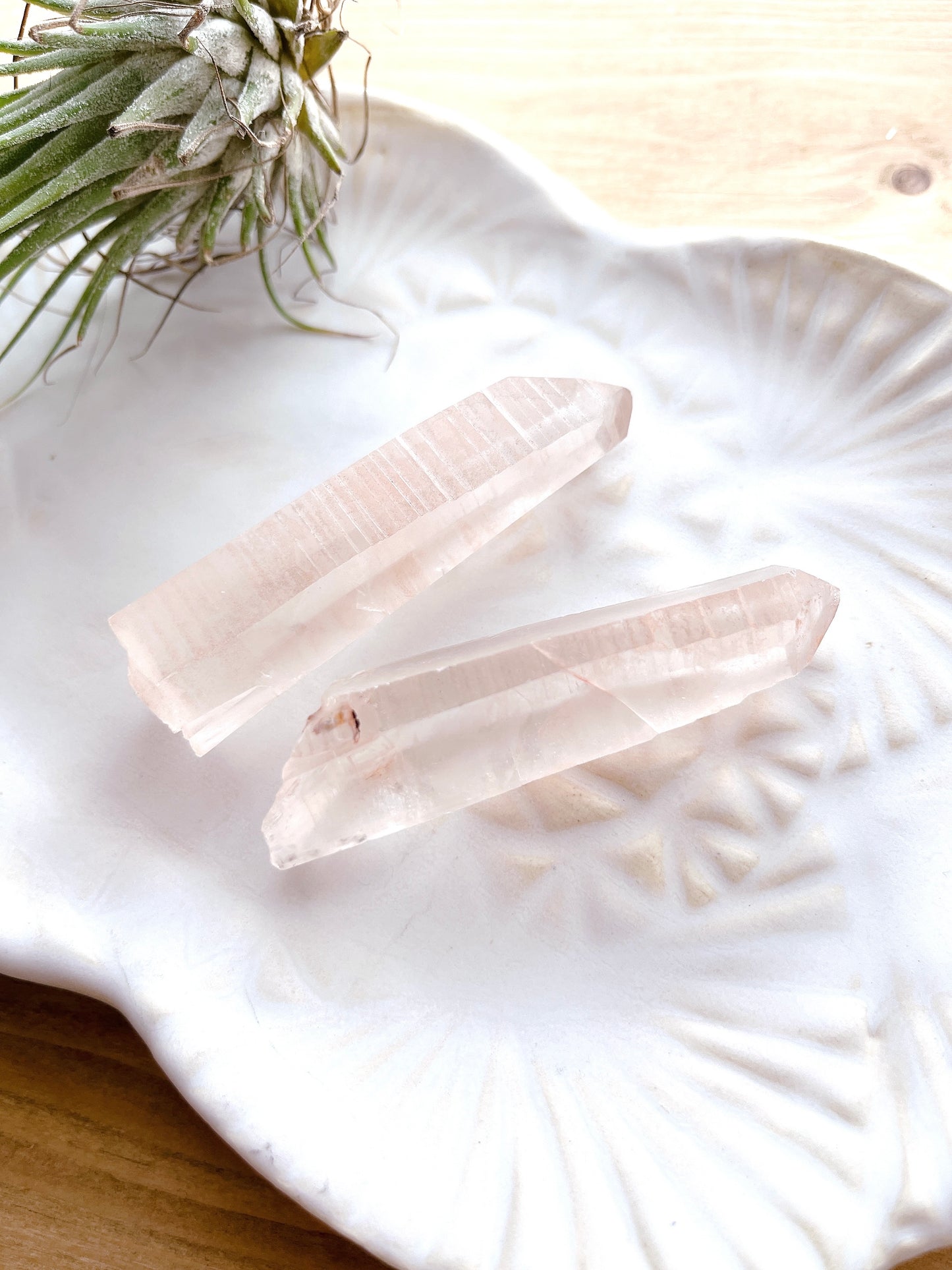 Pink lemurian seed crystal (8000)【LE001A~B】