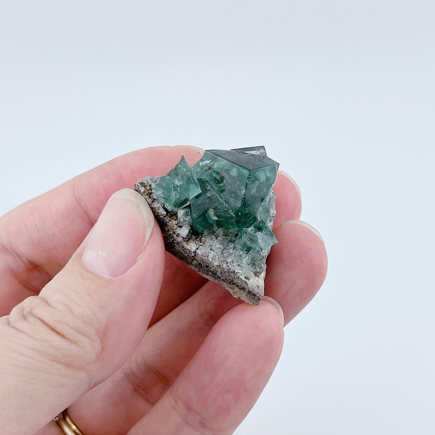 Diana Maria Fluorite (8500)【FO025A~G】