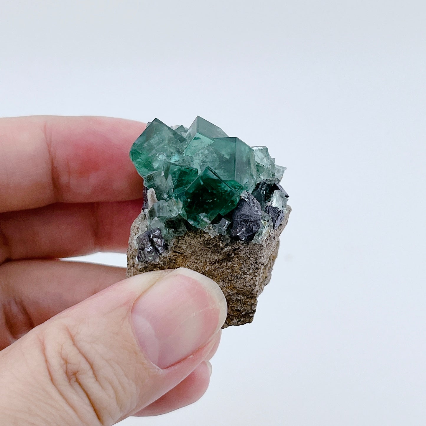 Diana Maria Fluorite (8500)【FO025A~G】