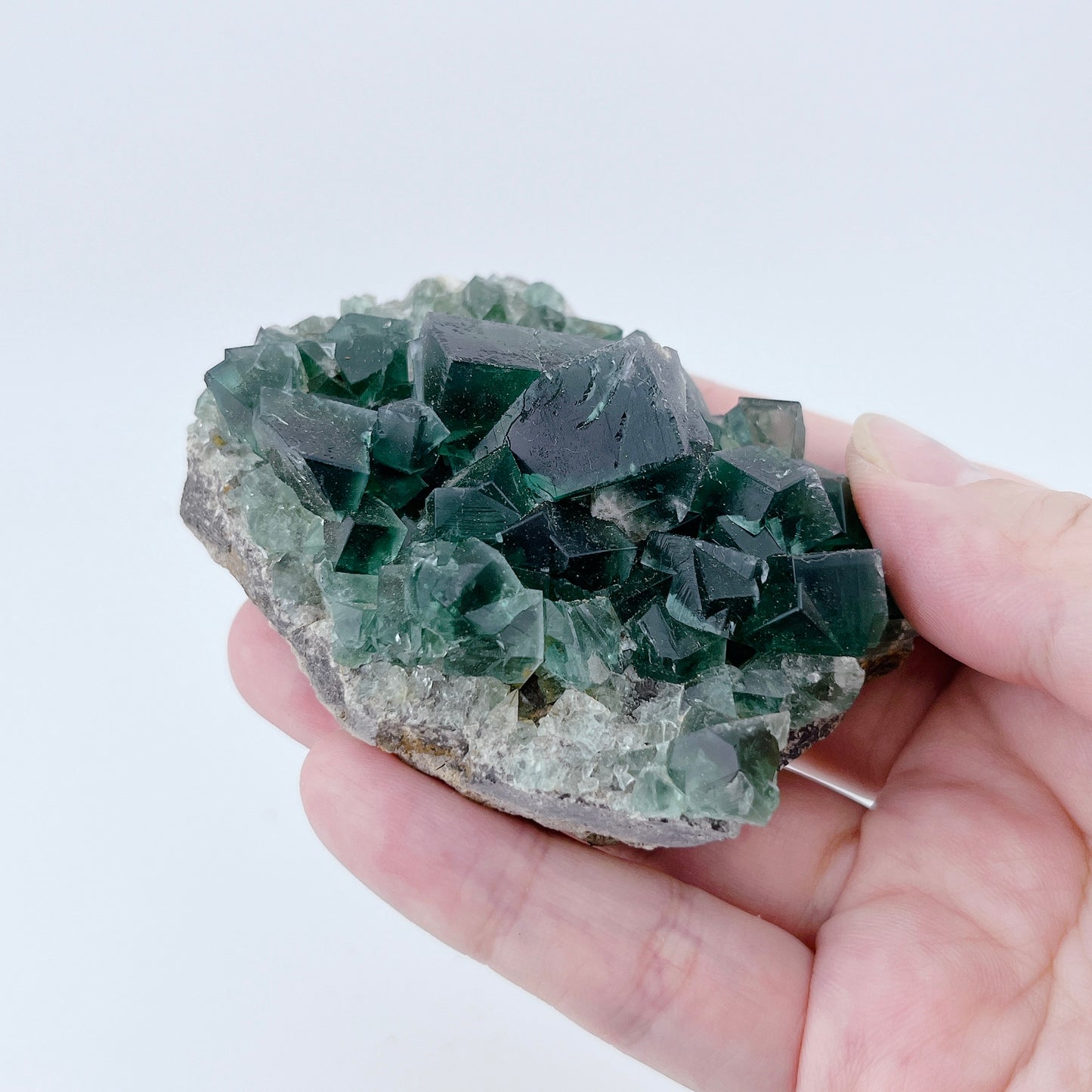 Diana Maria Fluorite (38000)【FO020A~D】