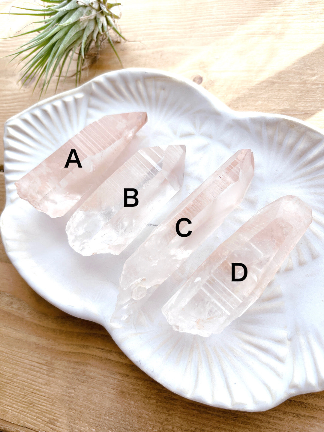 Pink lemurian seed crystal (13000)【LE005A~D】