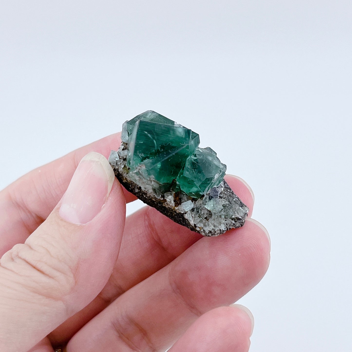 Diana Maria Fluorite (8500)【FO025A~G】