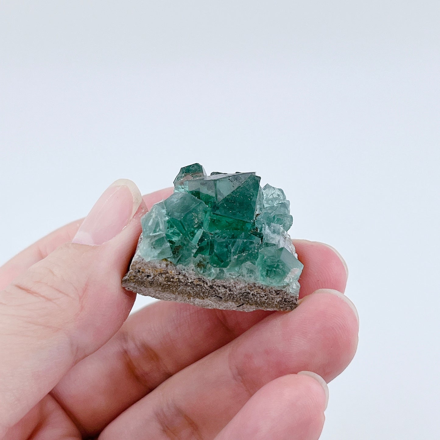 Diana Maria Fluorite (8500)【FO025A~G】