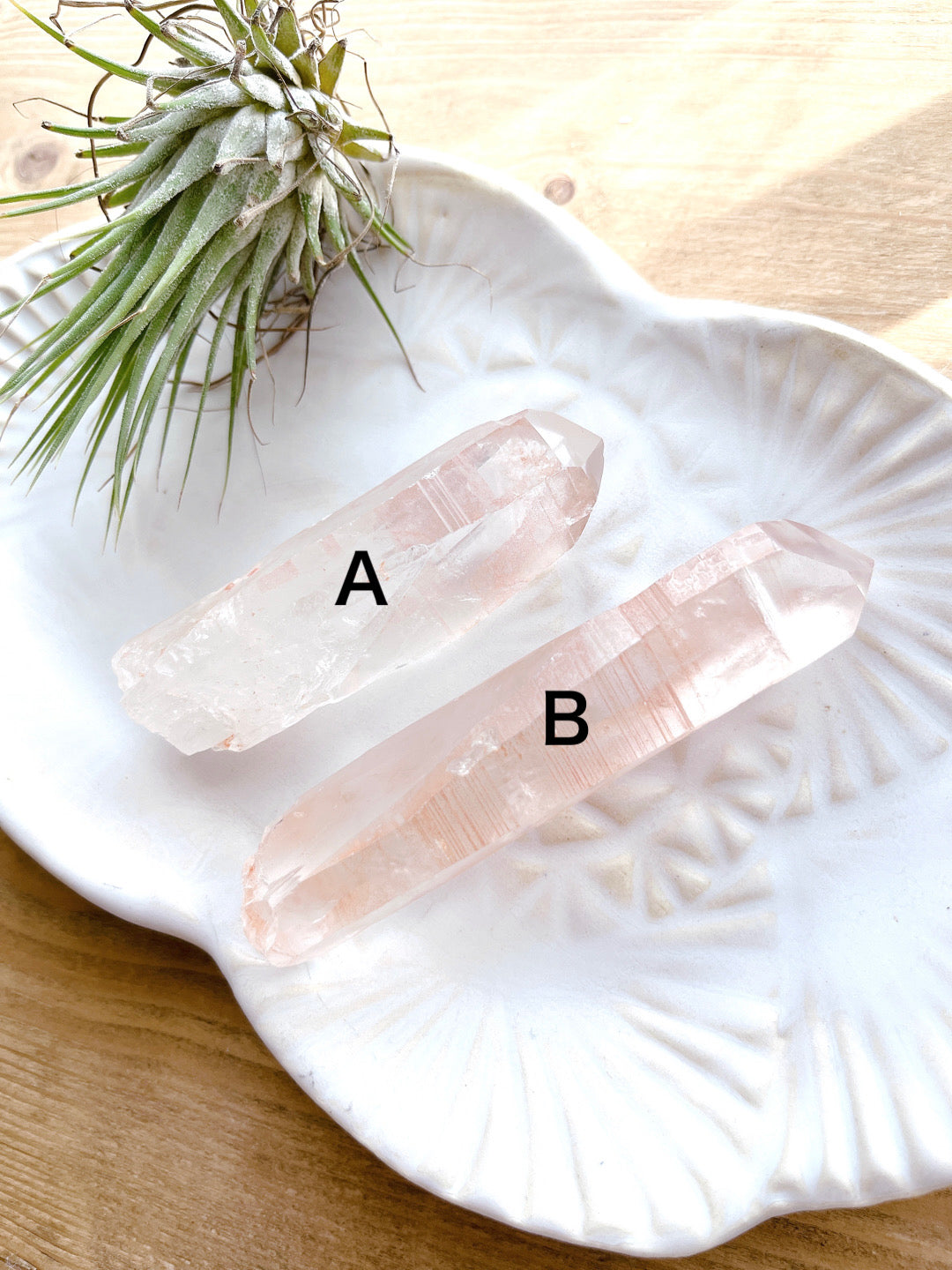 Pink lemurian seed crystal (14000)【LE006A~B】