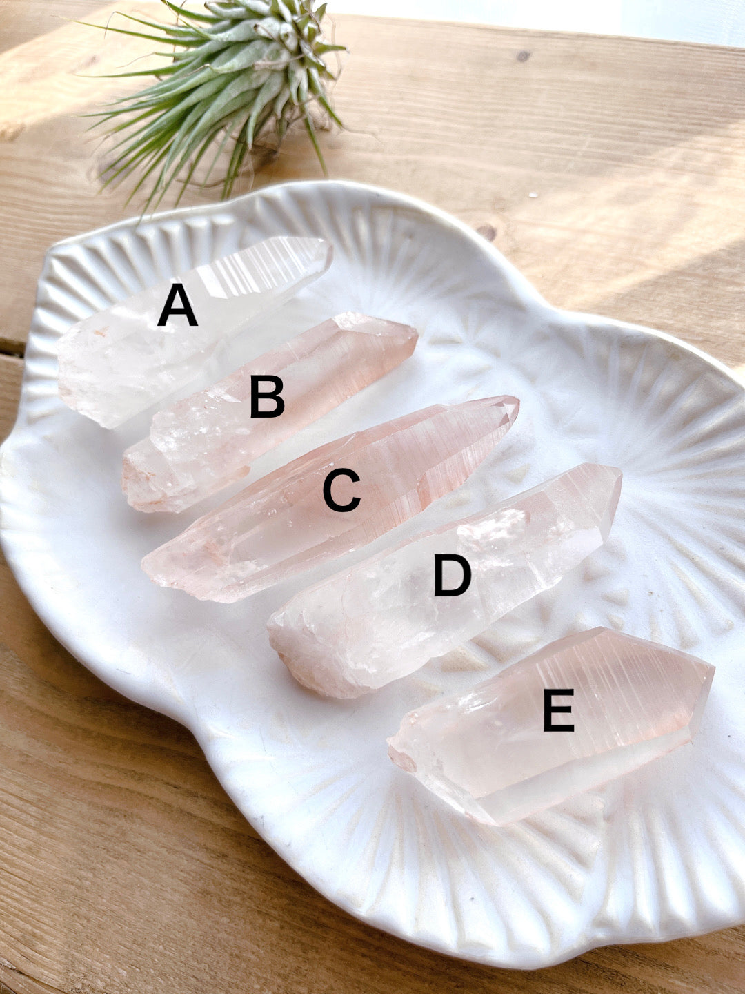 Pink lemurian seed crystal (10000)【LE003A~E】