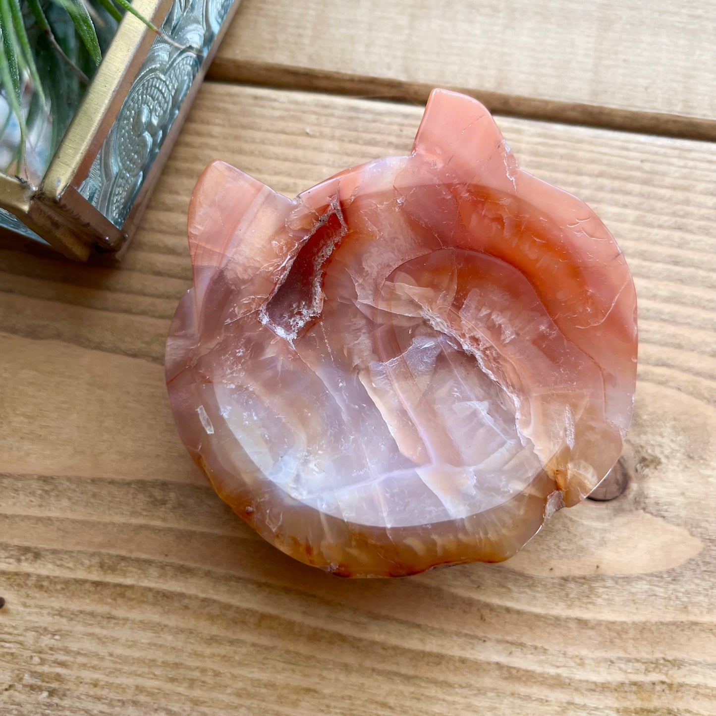 Agate cat plate【SP026】