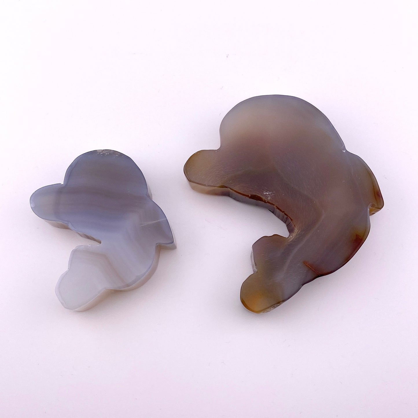 Agate dolphin set 【SP029】