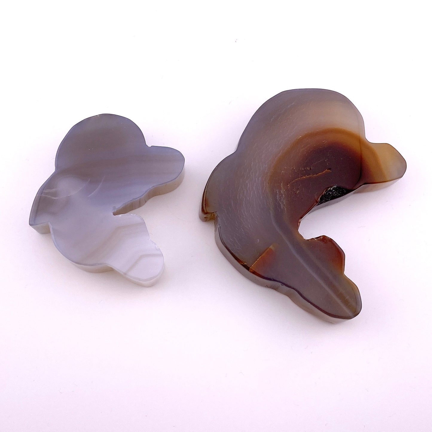 Agate dolphin set 【SP029】