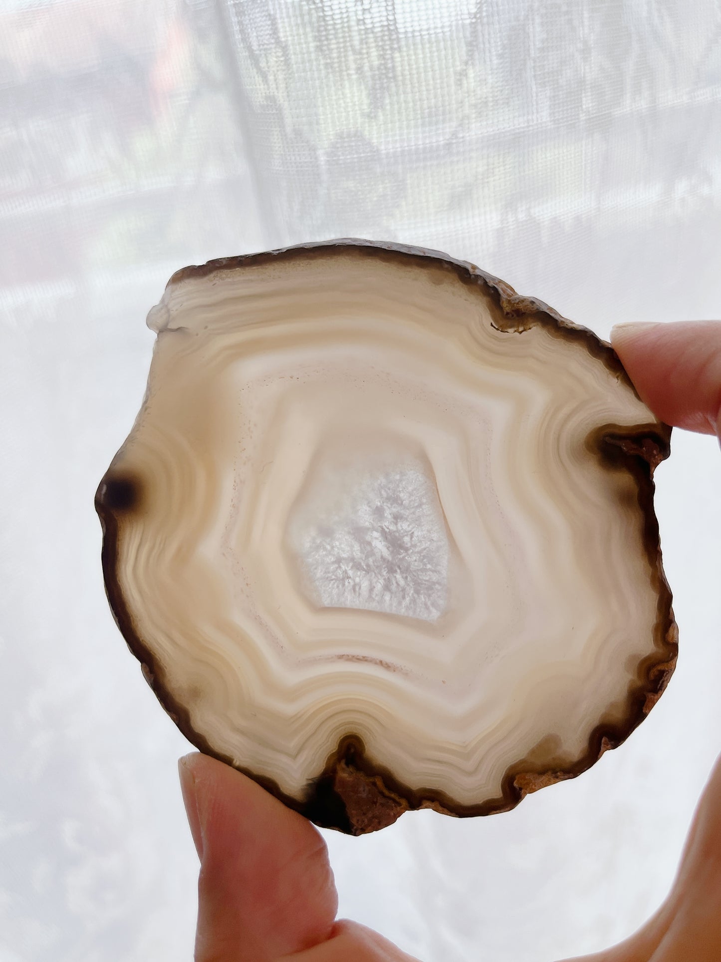 ☆Wednesday Special☆ Natural Agate plate【PL011A~I】