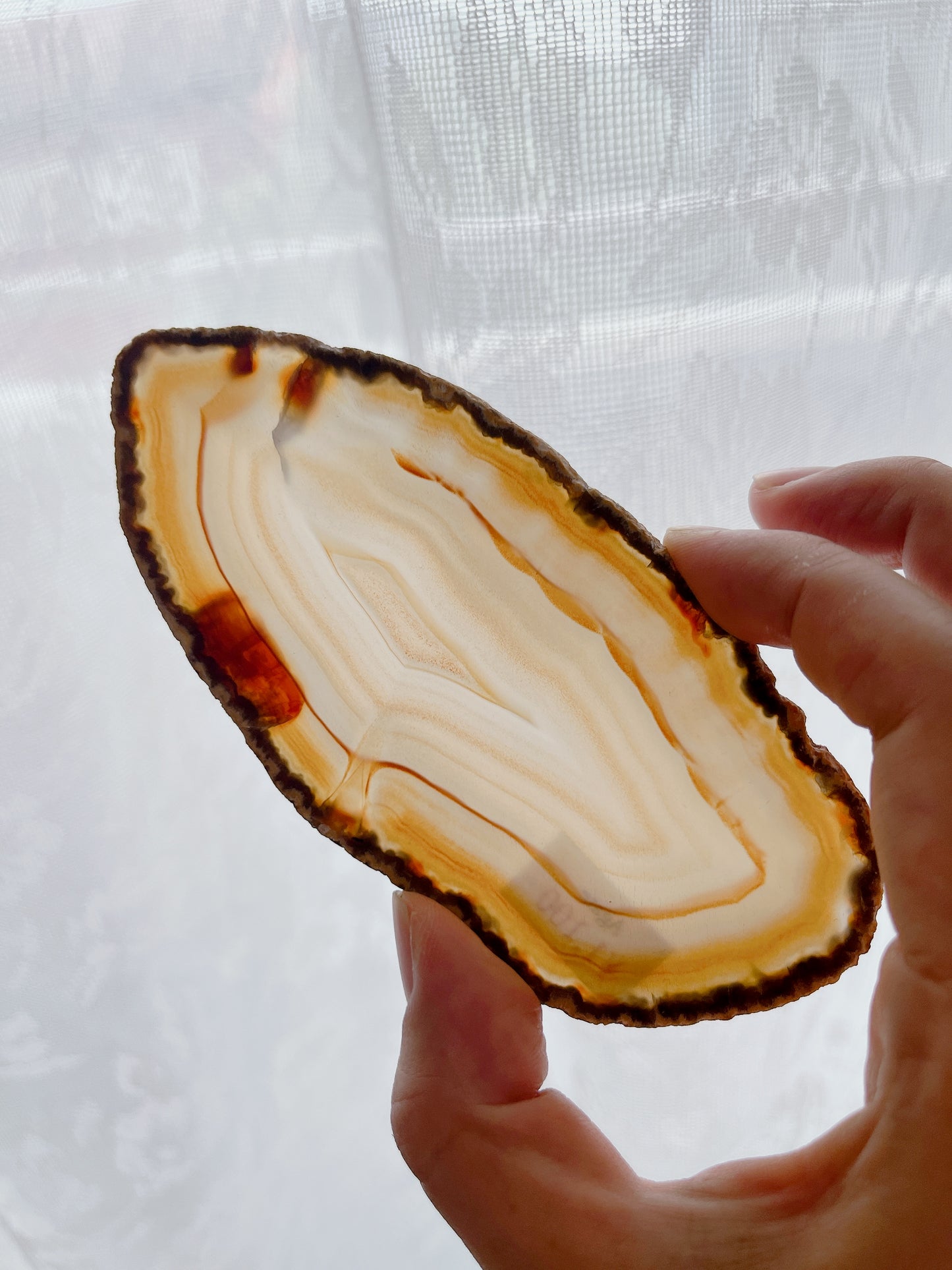 ☆Wednesday Special☆ Natural Agate plate【PL011A~I】