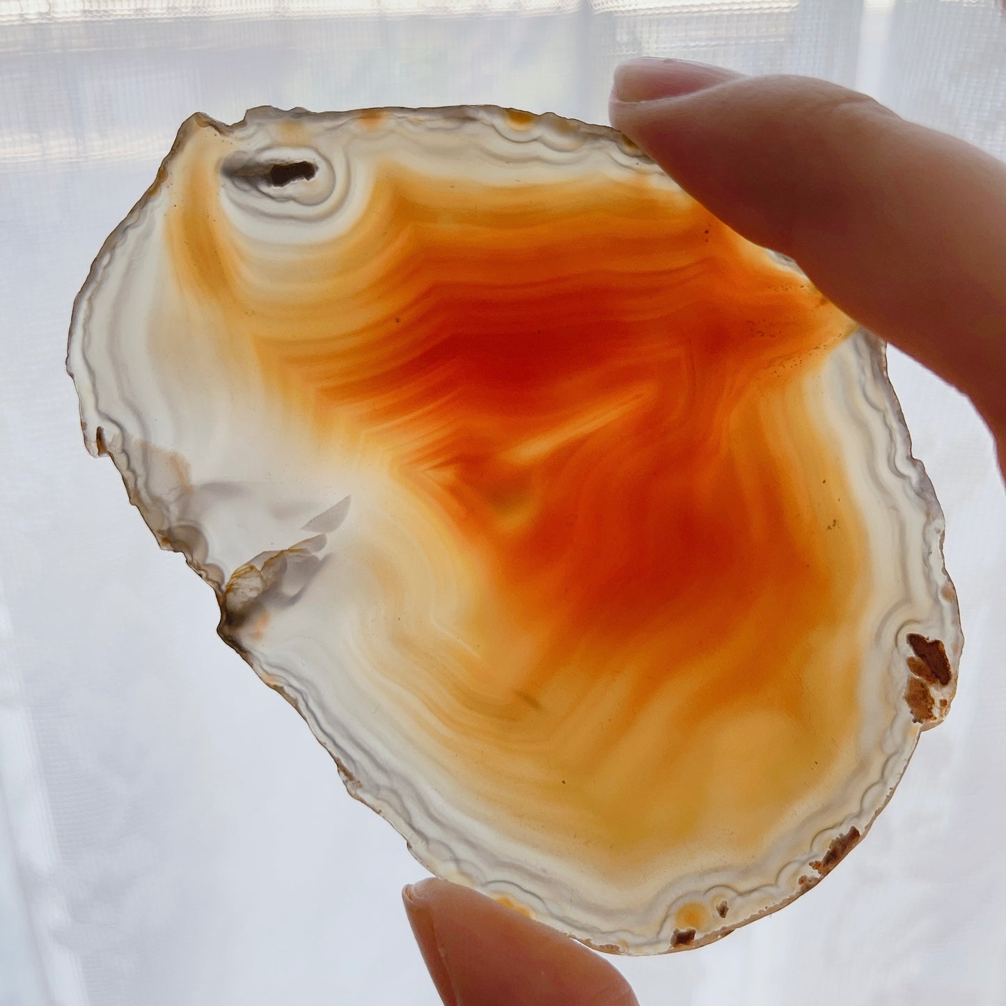 ☆Wednesday Special☆ Natural Agate plate 3【PL014A~I】