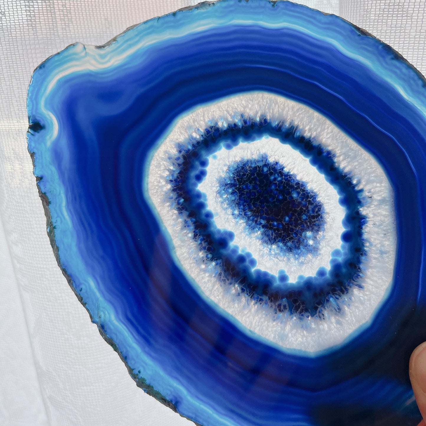Agate L plate【PL010B】