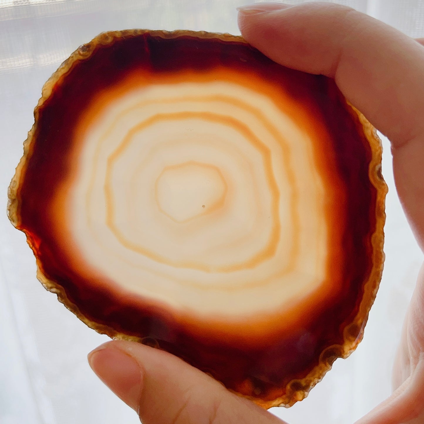 ☆Wednesday Special☆ Natural Agate plate 3【PL014A~I】
