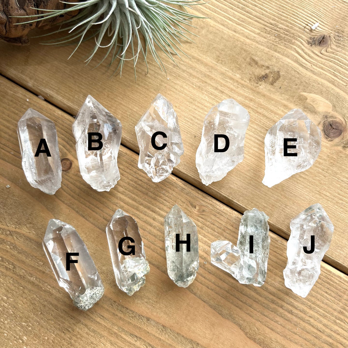 Manihar quartz 【MH003A~J】