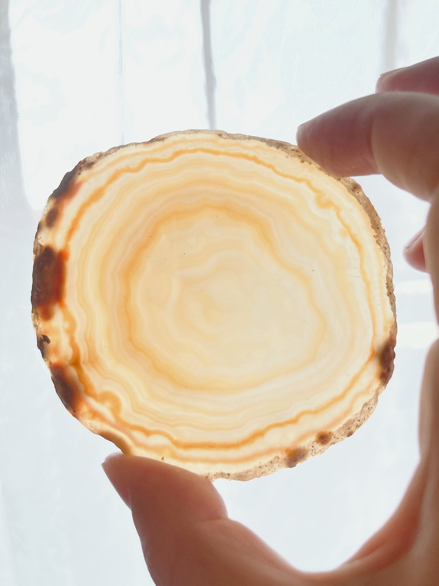 ☆Wednesday Special☆ Natural Agate plate 2【PL013A~I】