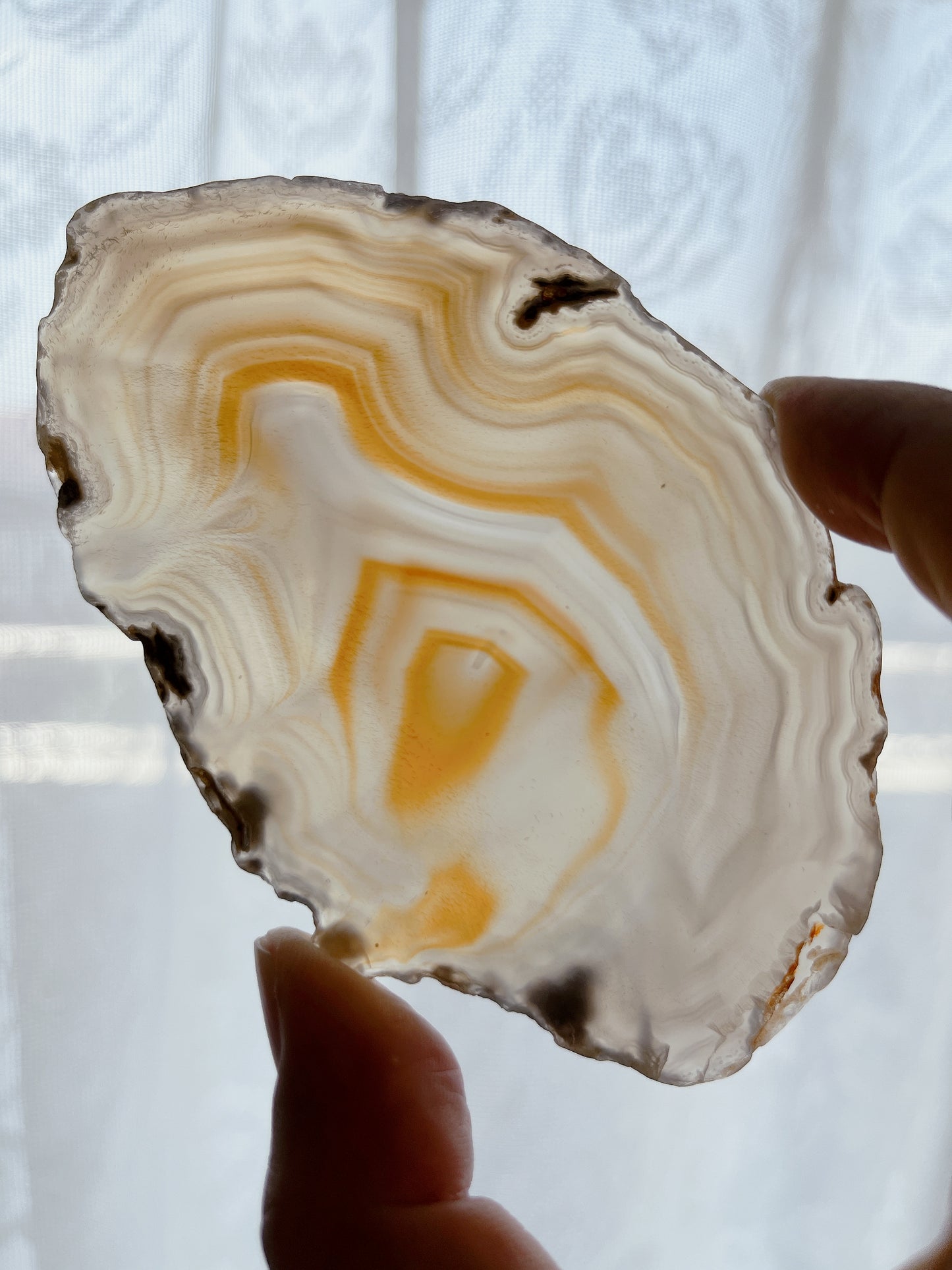 ☆Wednesday Special☆ Natural Agate plate 2【PL013A~I】