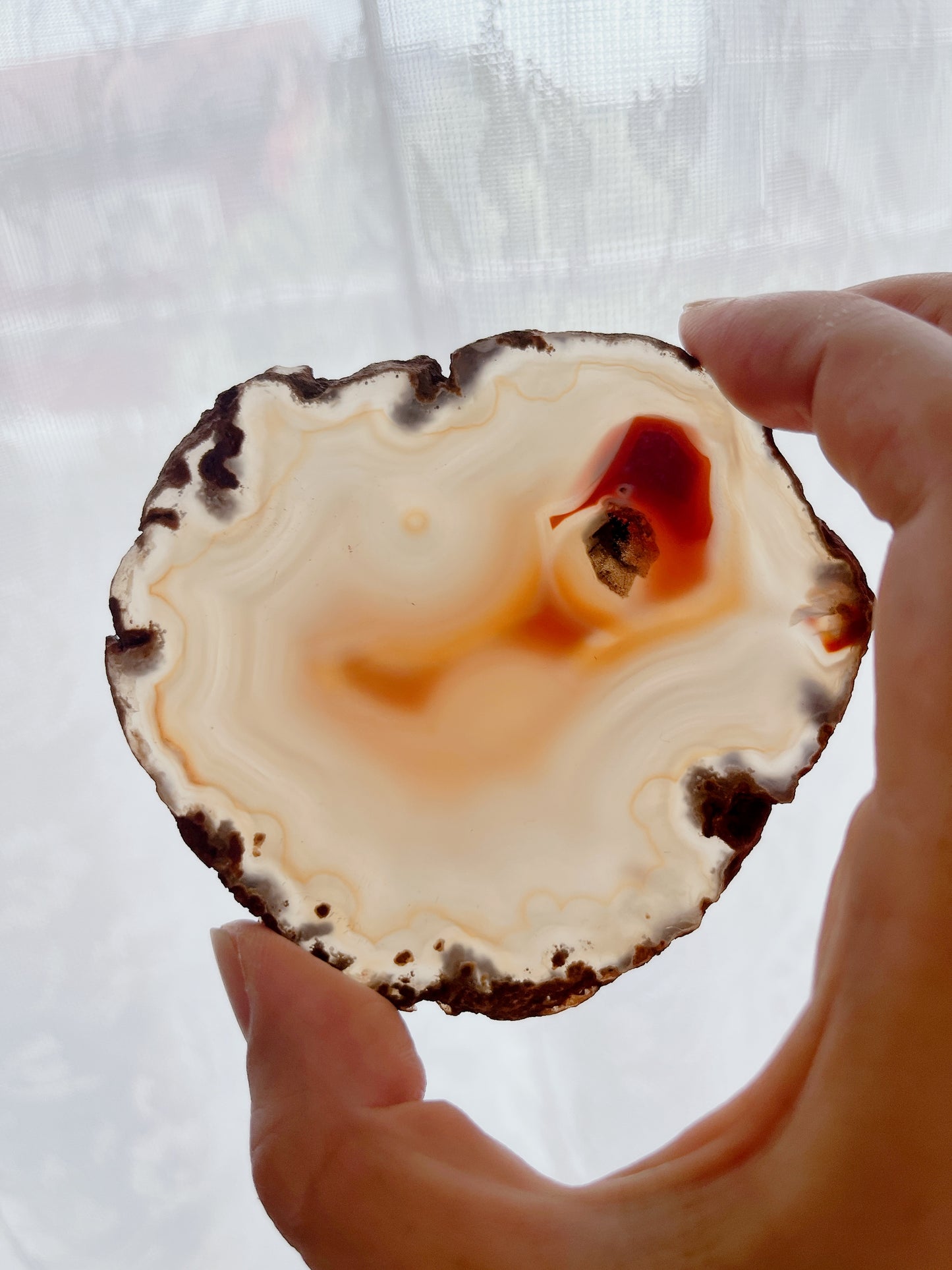 ☆Wednesday Special☆ Natural Agate plate【PL011A~I】