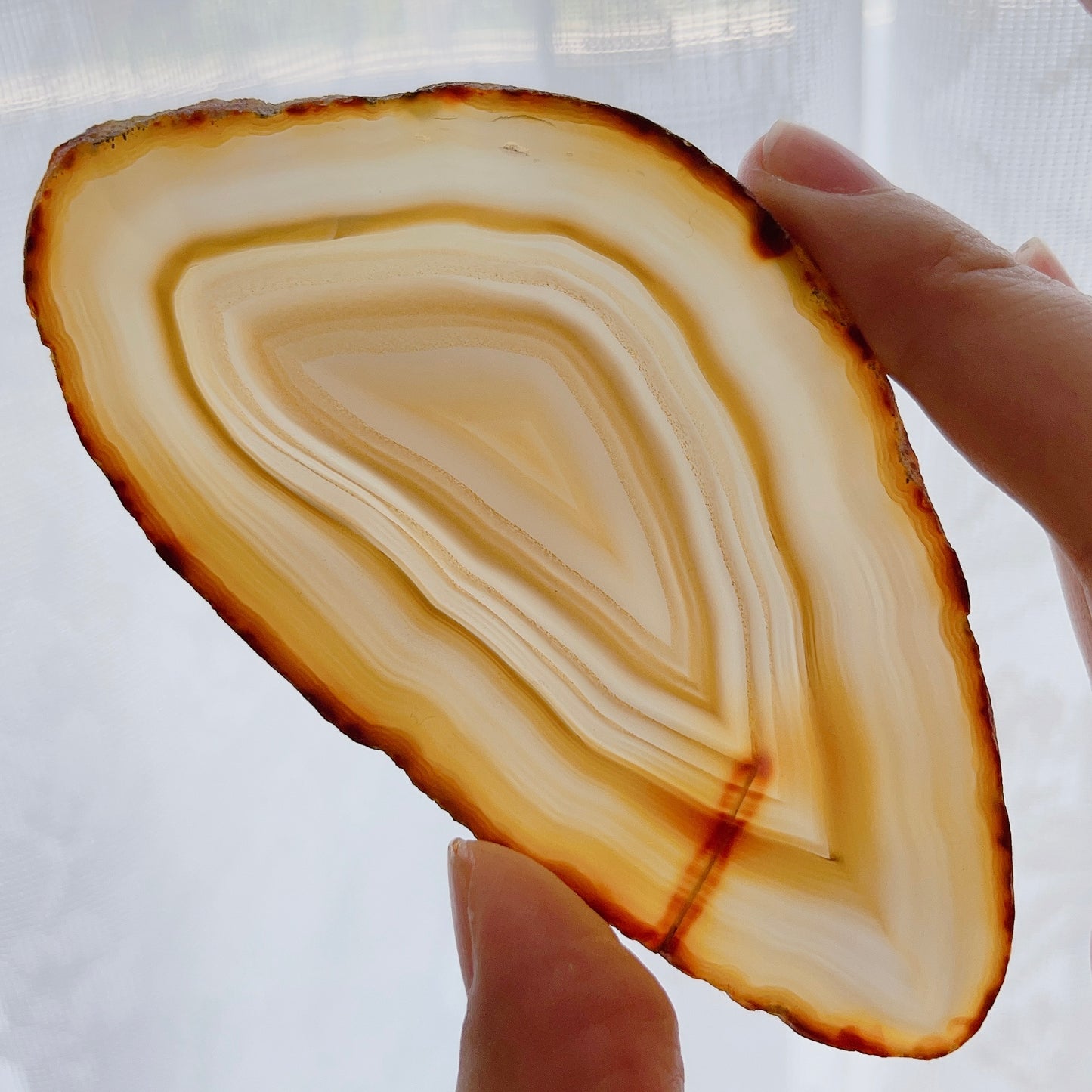 ☆Wednesday Special☆ Natural Agate plate 3【PL014A~I】