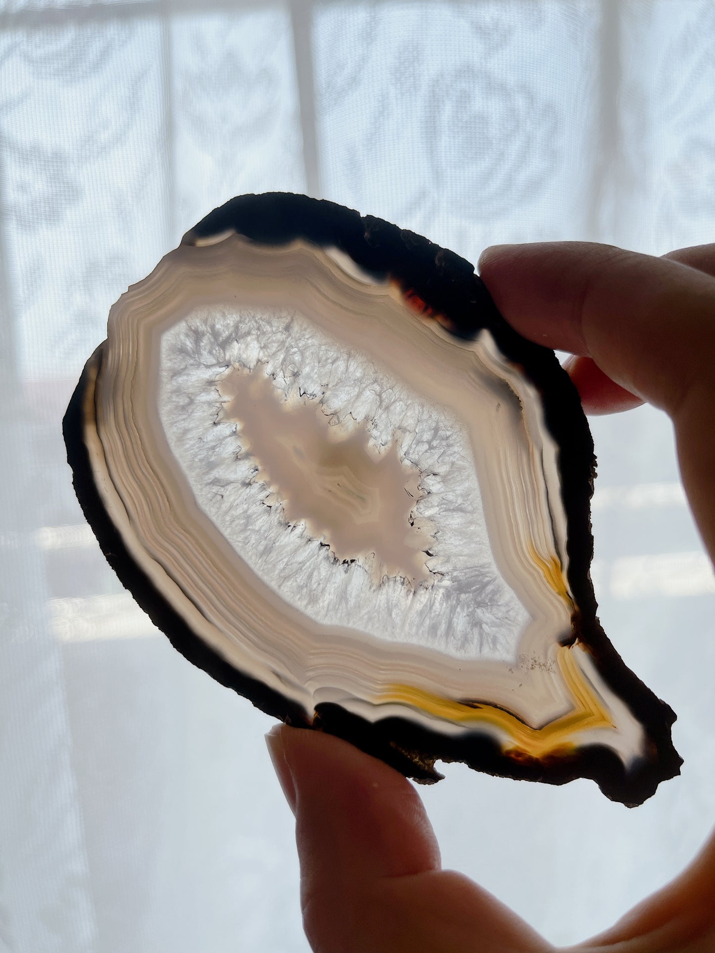 ☆Wednesday Special☆ Natural Agate plate 2【PL013A~I】
