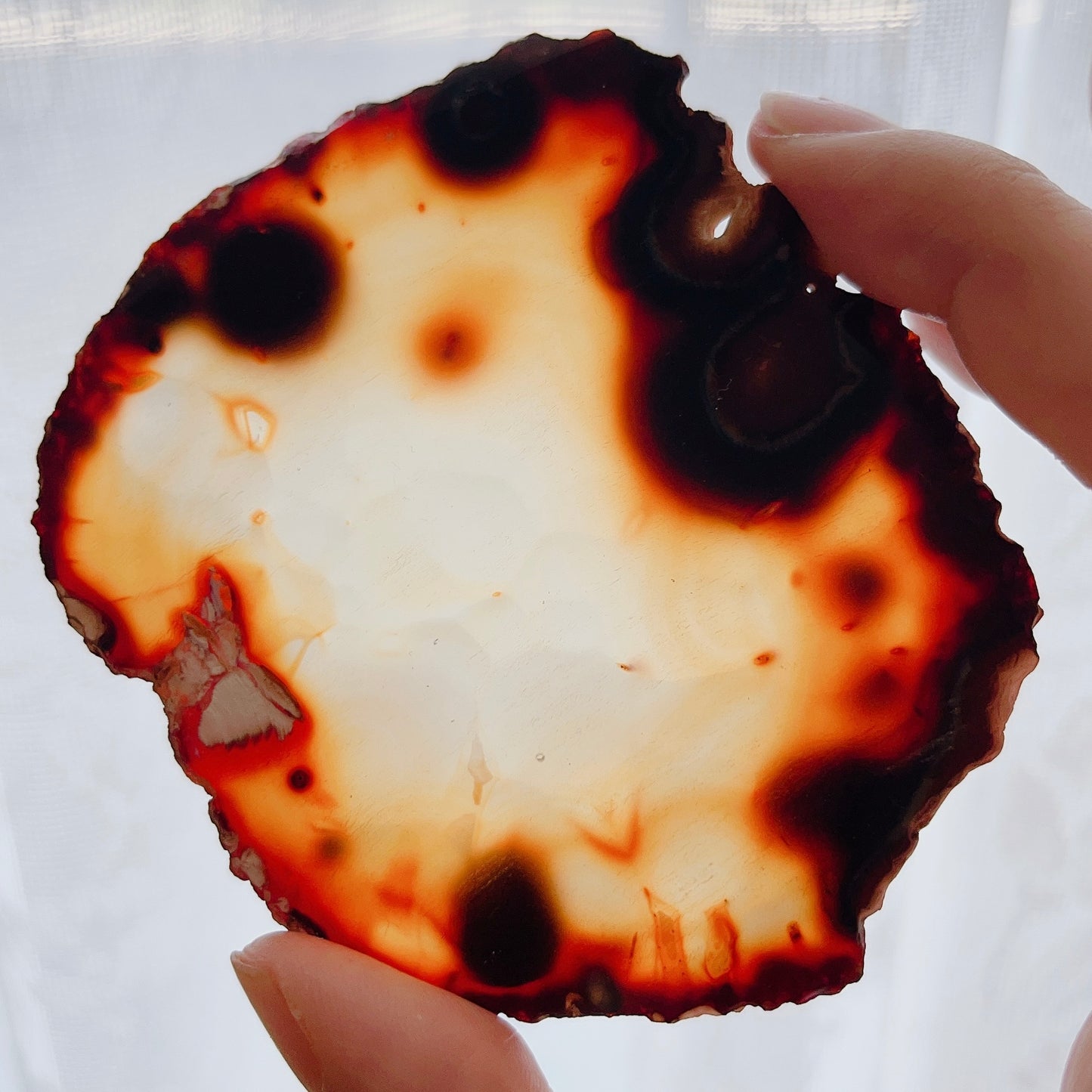 ☆Wednesday Special☆ Natural Agate plate 3【PL014A~I】