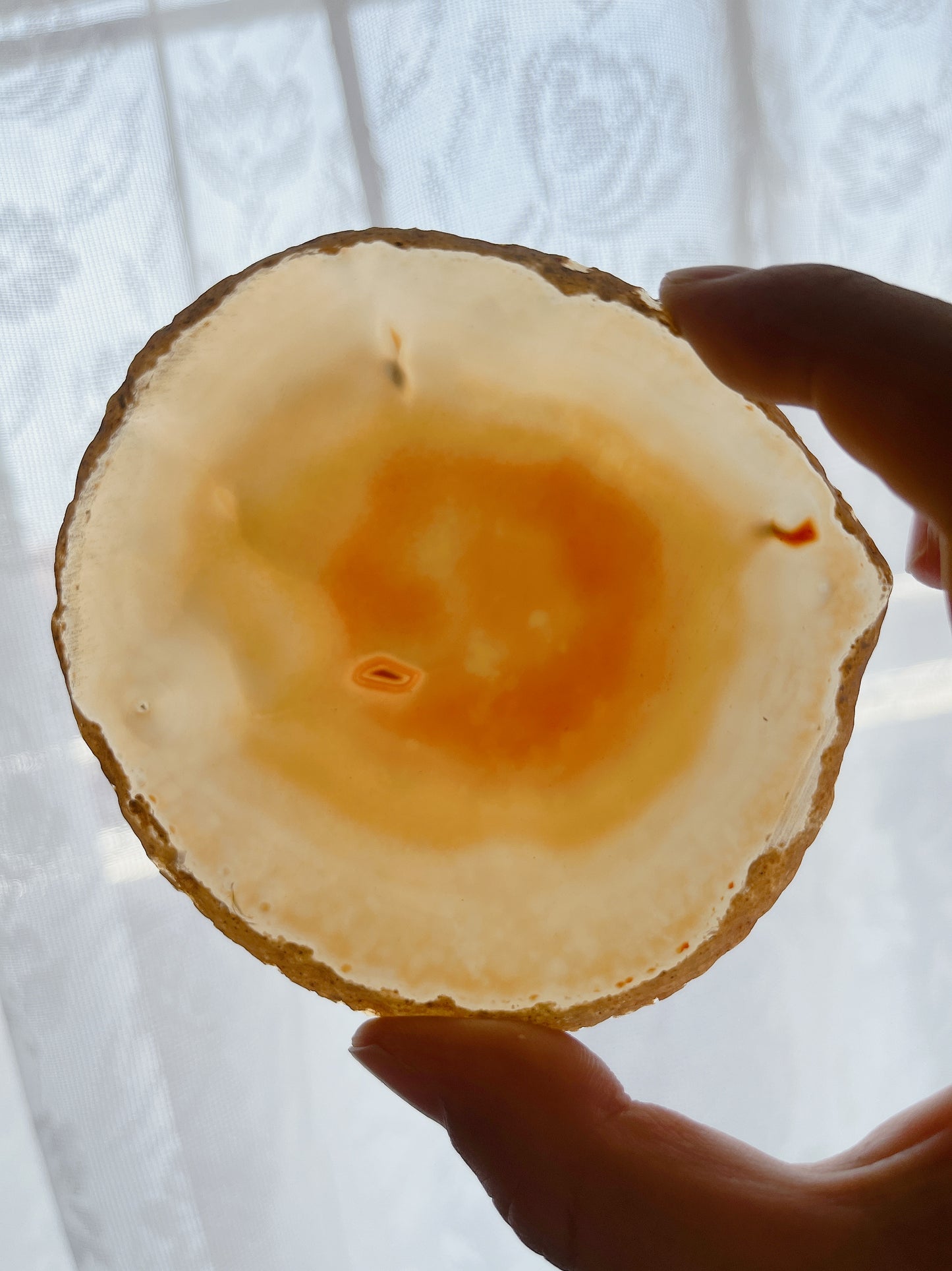 ☆Wednesday Special☆ Natural Agate plate 2【PL013A~I】