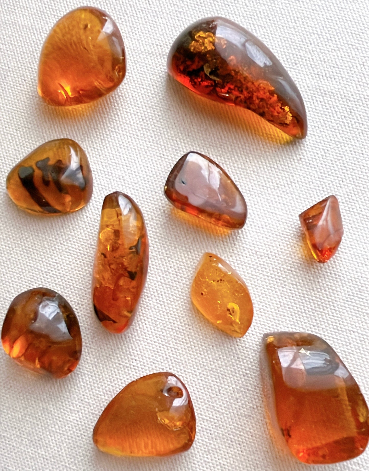 Blue amber with insects 【AB001A~J】