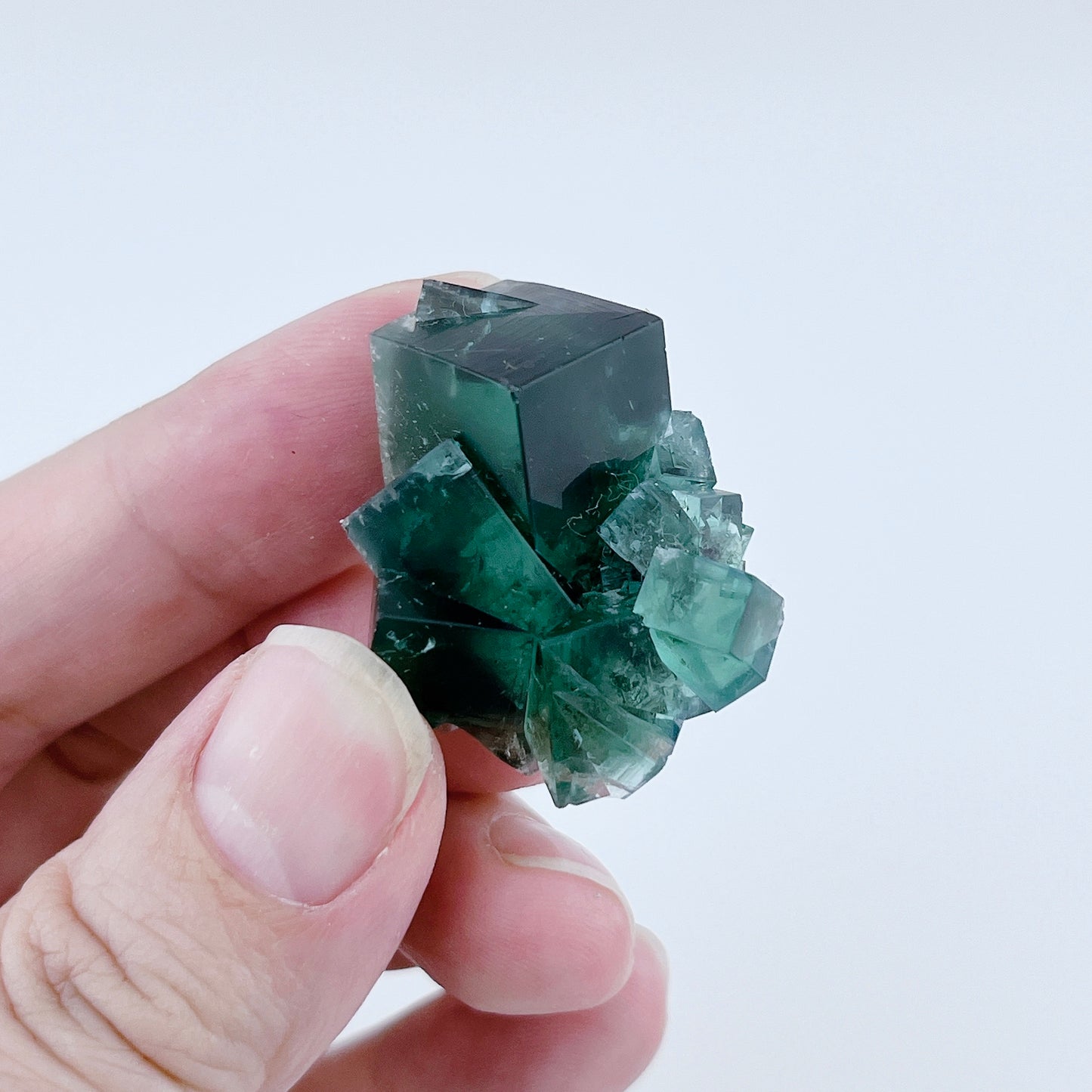 Diana Maria Fluorite (13000)【FO022A~D】