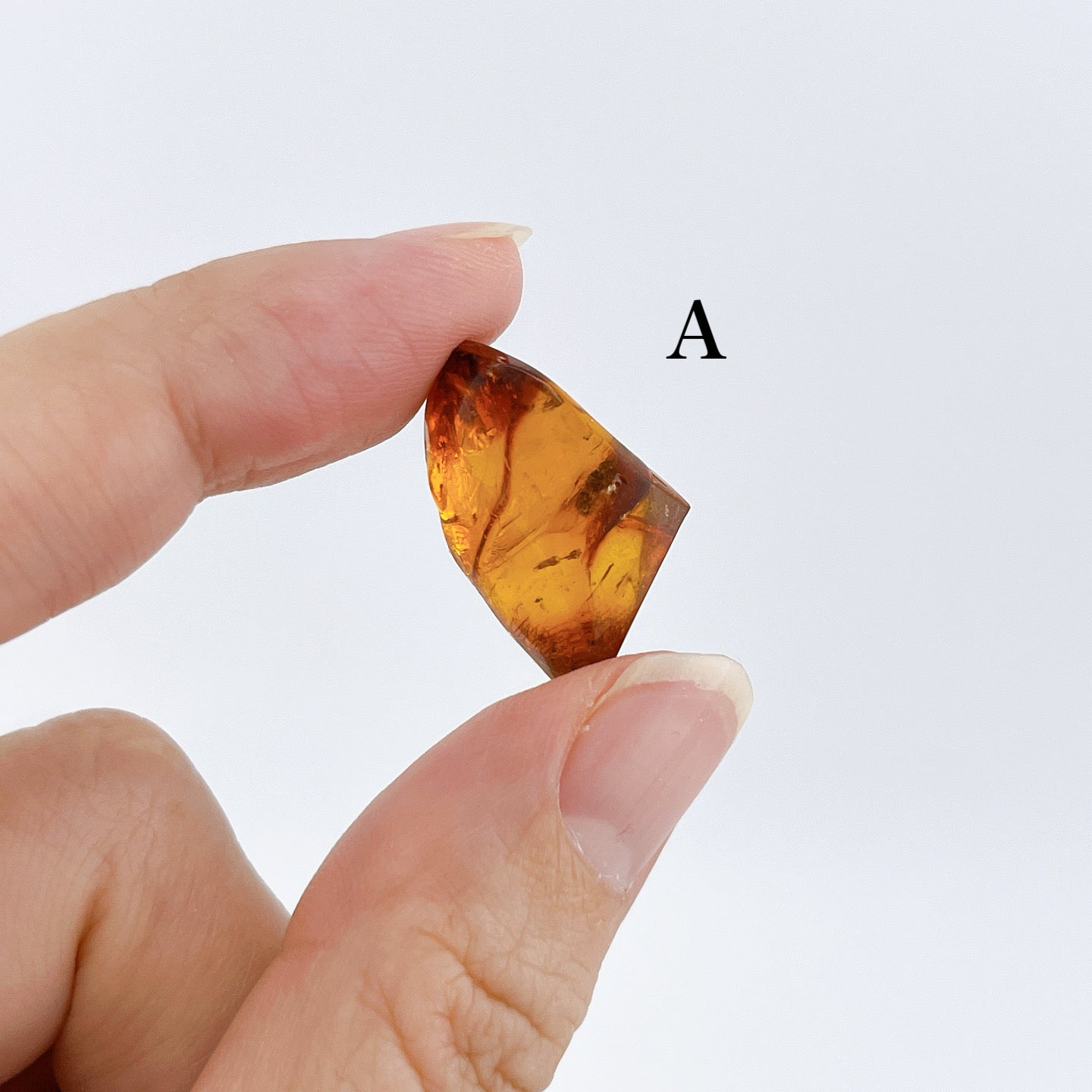 Blue amber with insects 【AB001A~J】