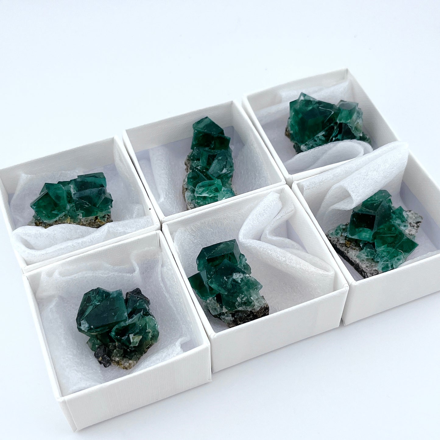 Diana Maria Fluorite (11500)【FO023A~F】