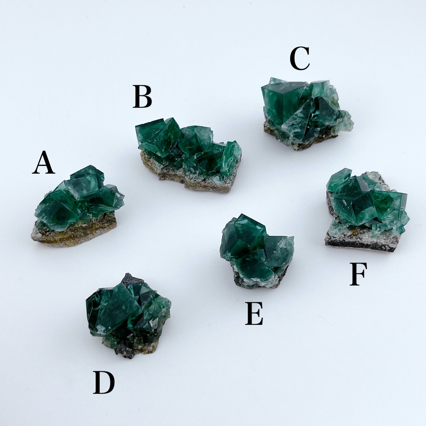 Diana Maria Fluorite (11500)【FO023A~F】