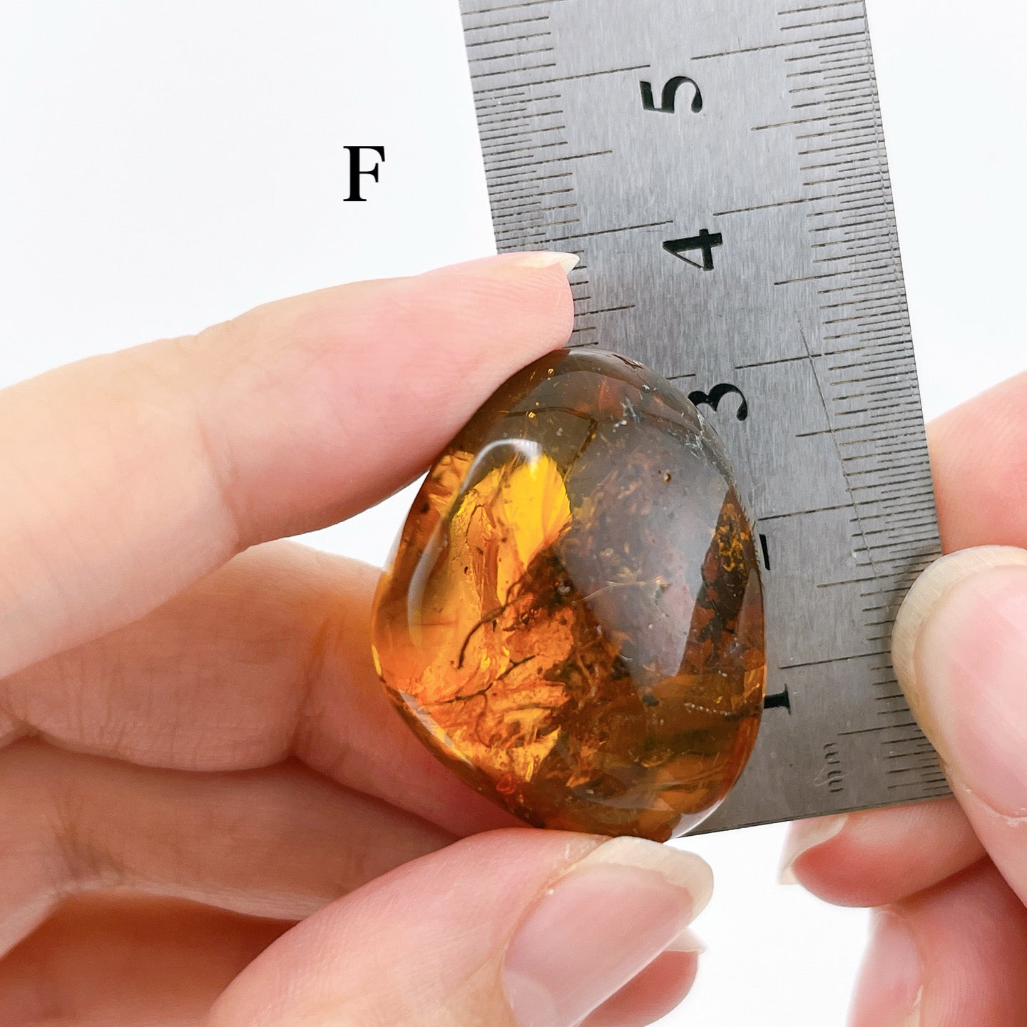 Blue amber with insects 【AB001A~J】