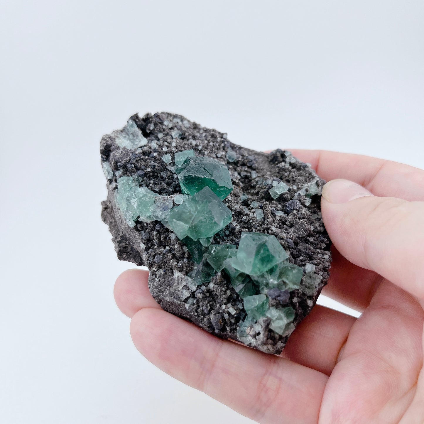 Diana Maria Fluorite (32000)【FO021A~C】