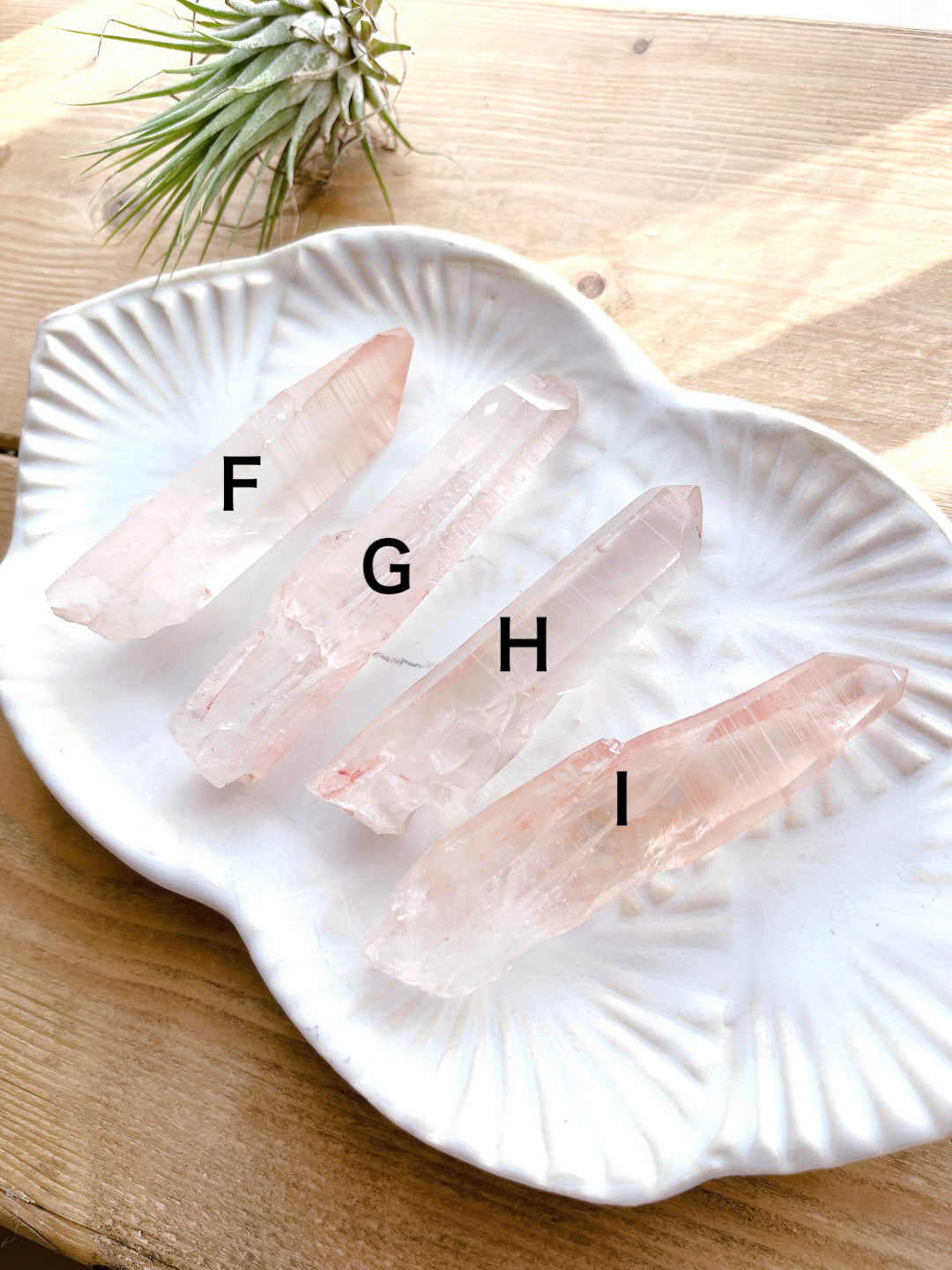 Pink lemurian seed crystal (10000)【LE003F~I】