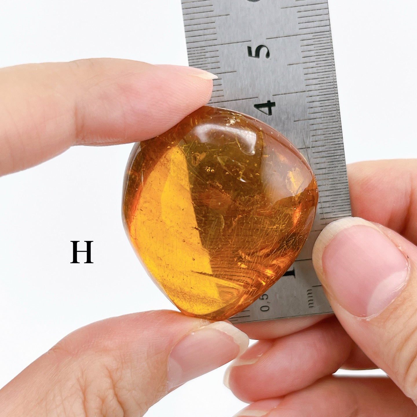 Blue amber with insects 【AB001A~J】