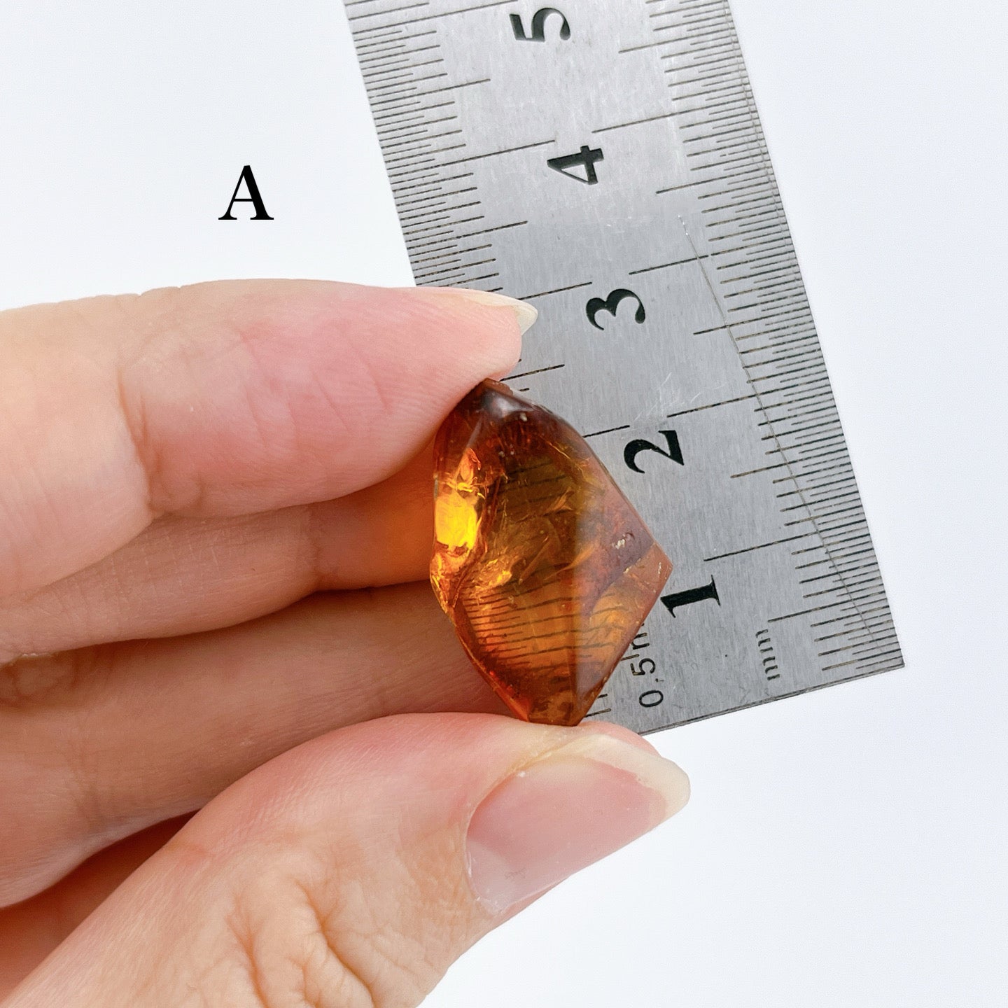 Blue amber with insects 【AB001A~J】