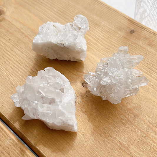Tomaz Gonzaga Quartz F set【QT004F】