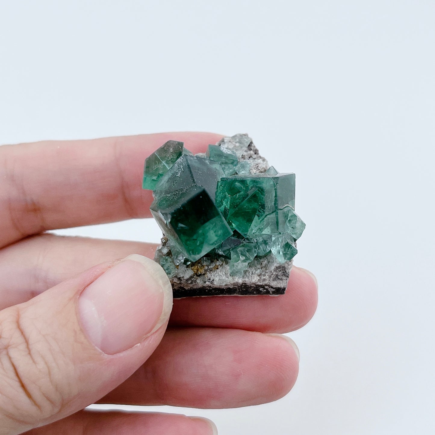 Diana Maria Fluorite (11500)【FO023A~F】