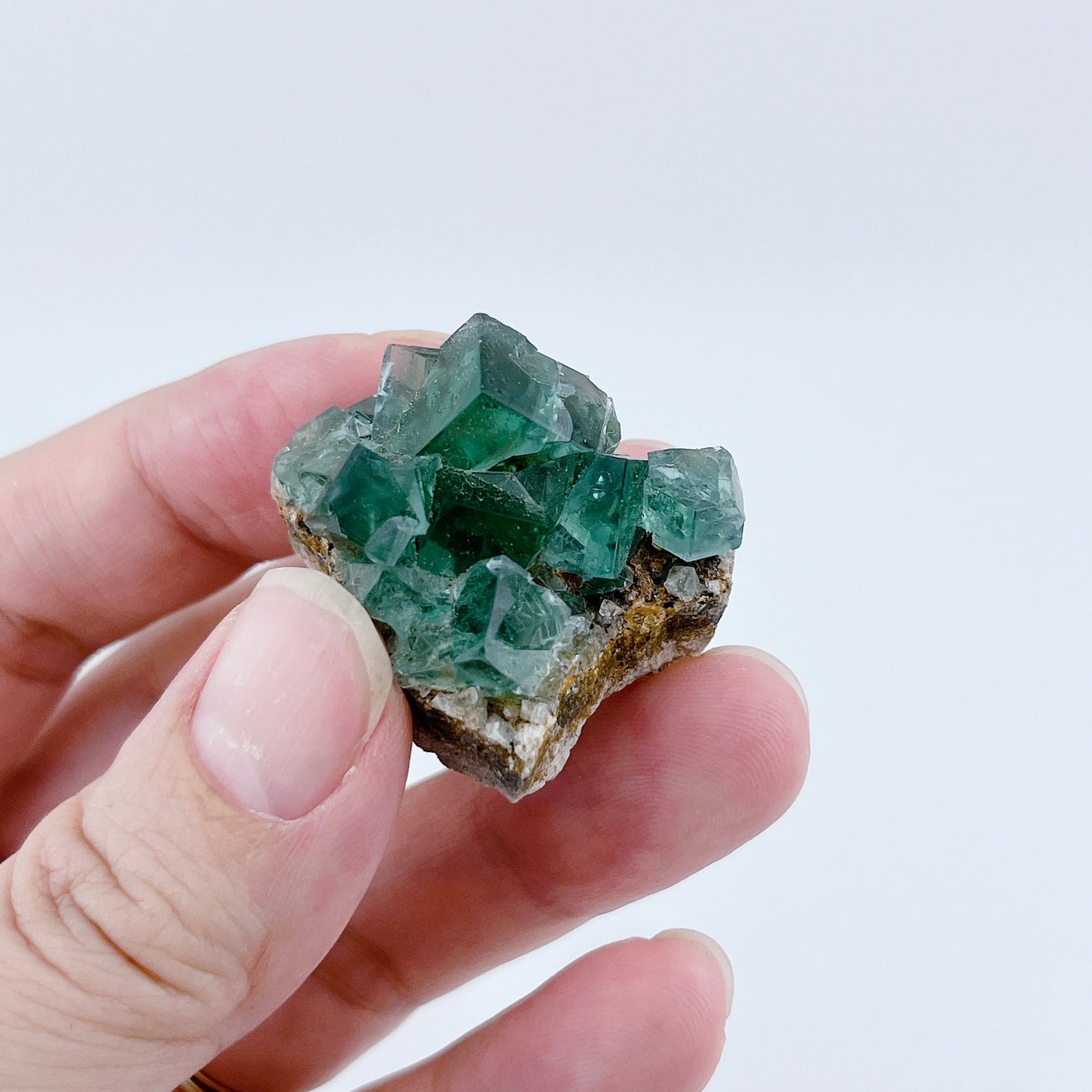 Diana Maria Fluorite (11500)【FO024A~F】