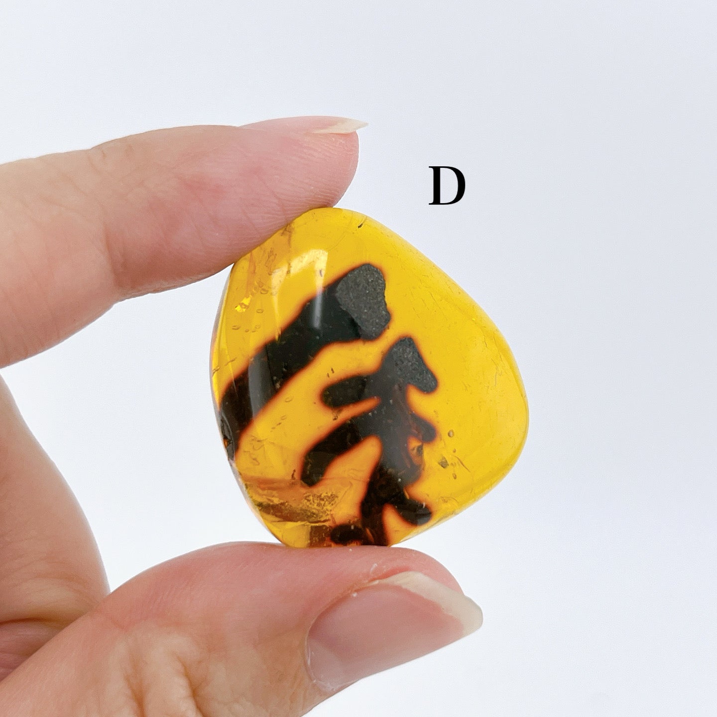 Blue amber with insects 【AB001A~J】