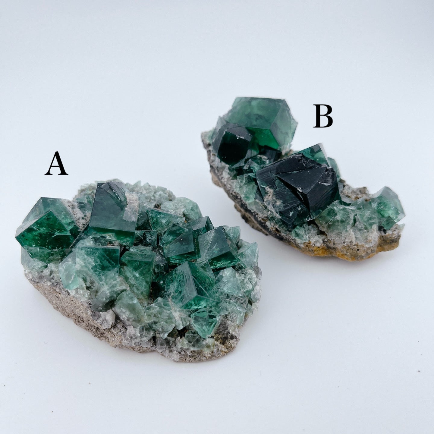 Diana Maria Fluorite (42000)【FO019A~B】