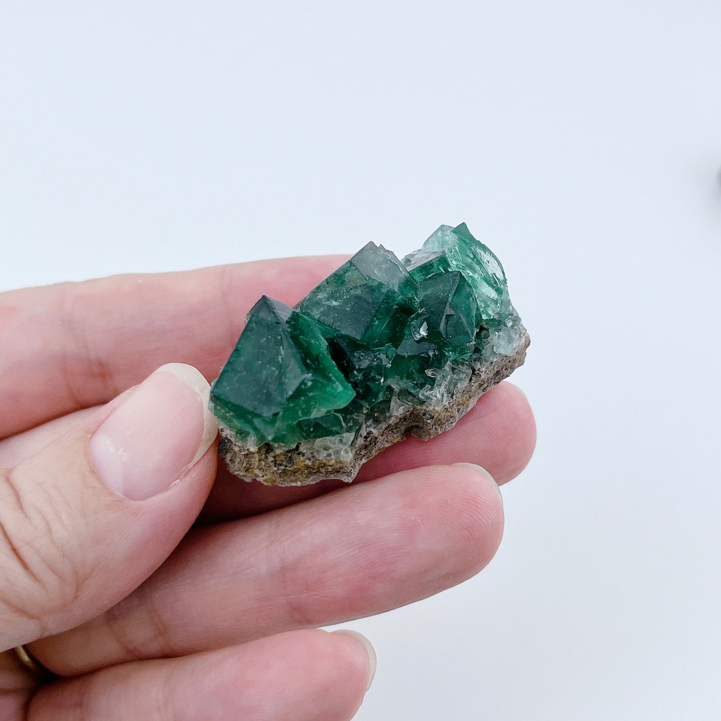 Diana Maria Fluorite (11500)【FO023A~F】