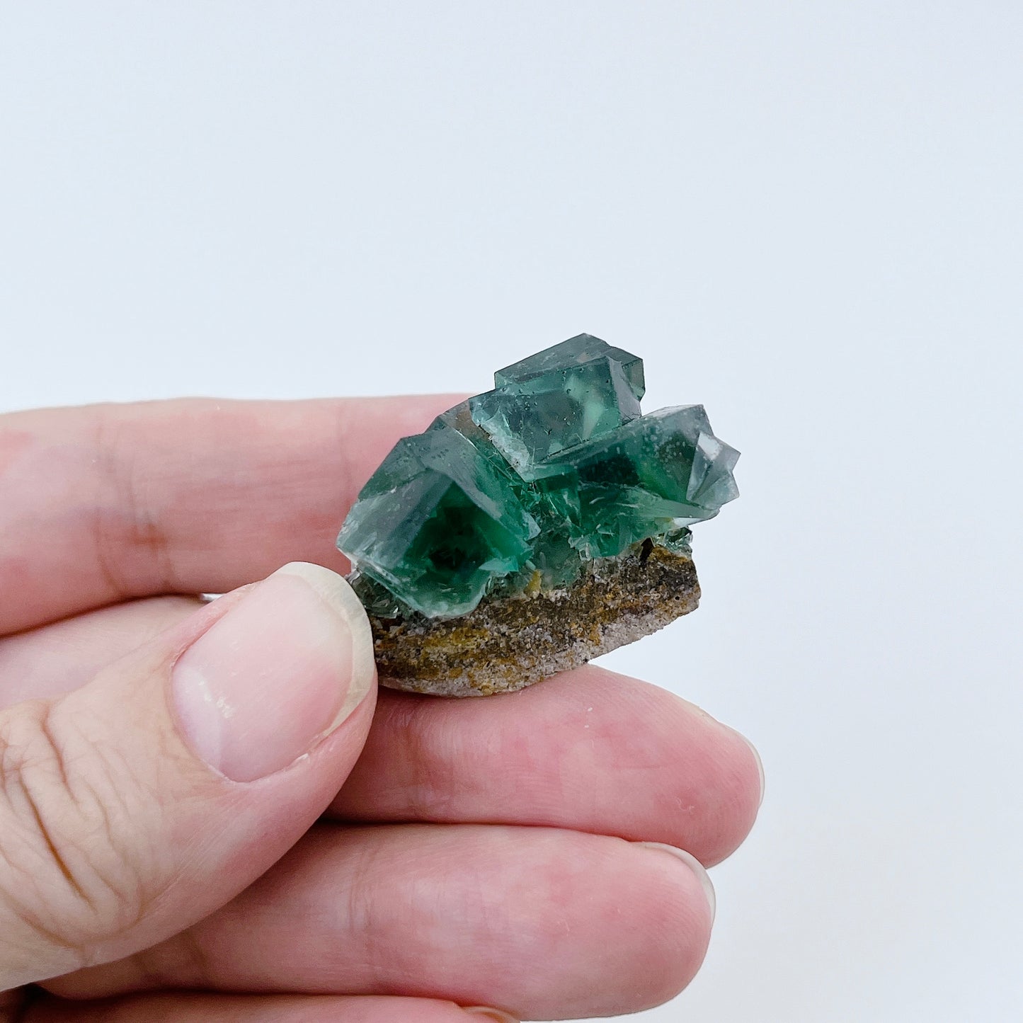 Diana Maria Fluorite (11500)【FO023A~F】